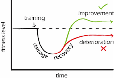 Muscle Recovery After Working Out