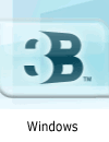 3B