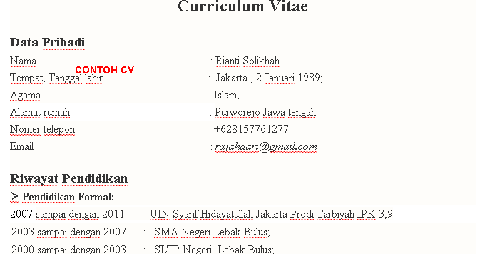 Contoh CV Curriculum Vitae Yang Baik Bahasa Indonesia