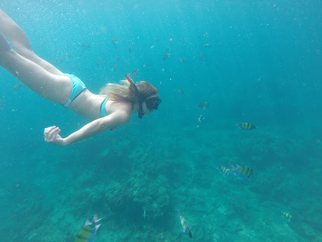 snorkelling maya bay thailand