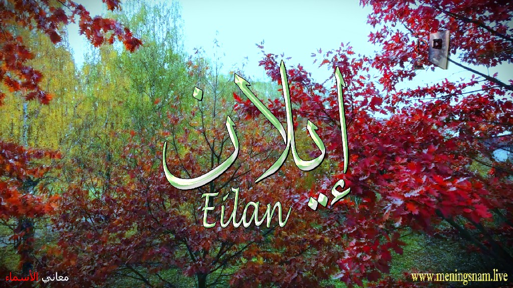 معنى اسم, ايلان, وصفات, حامل, هذا الاسم, Eilan,