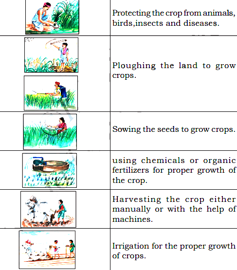 KSEEB Solutions For Class 5 EVS Chapter 8 Agriculture