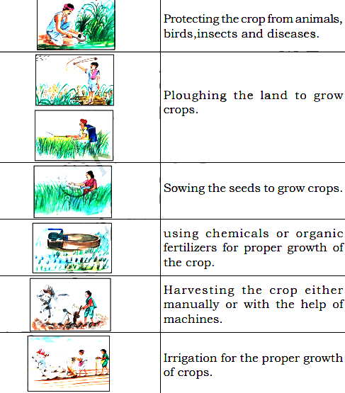 KSEEB Solutions for Class 5 EVS Chapter 8 Agriculture in English Medium (2023)