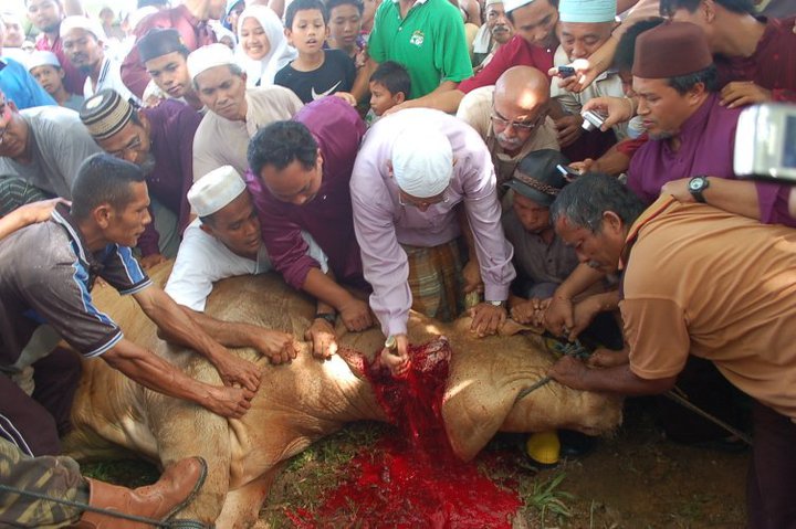  Gambar  Pemimpin Dalam Ibadah Qurban  2010 LaNuNsepet 