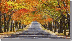 clip_image003