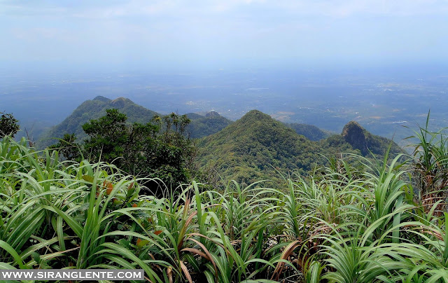 summit of Mt. Malipunyo