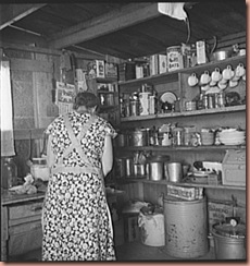 womanpreseving