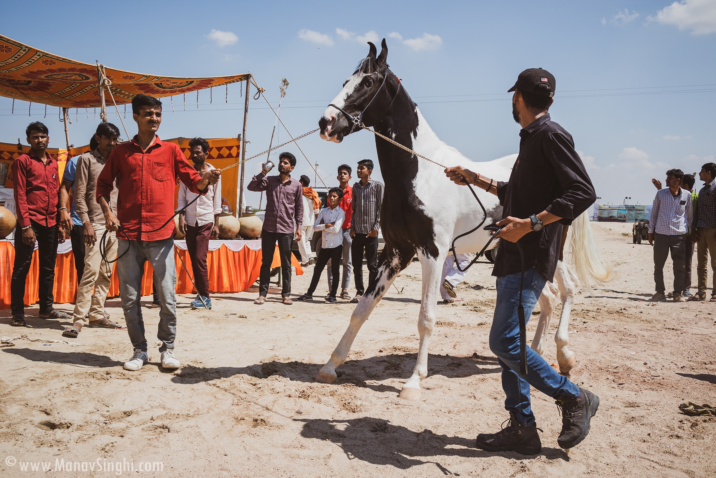 The Mallinath Cattle Fair, Tilwara 2023 - Biggest Cattle Fair in Rajasthan.