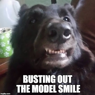 dog smile