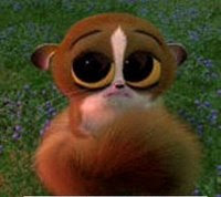 mort from madagascar air
