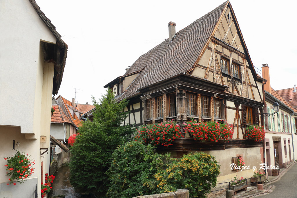 Canal de Kientzheim, Alsacia