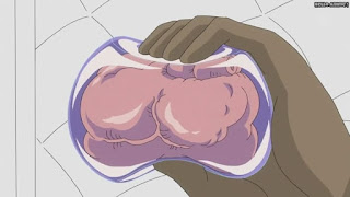 ワンピースアニメ パンクハザード編 601話 | ONE PIECE Episode 601