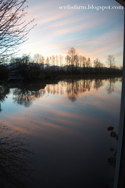 water reflection