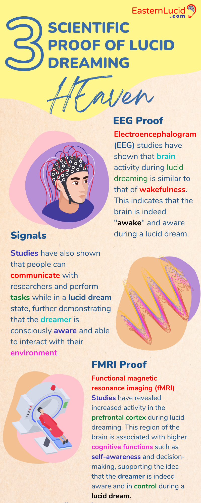 Scientific Proof of Lucid Dreaming