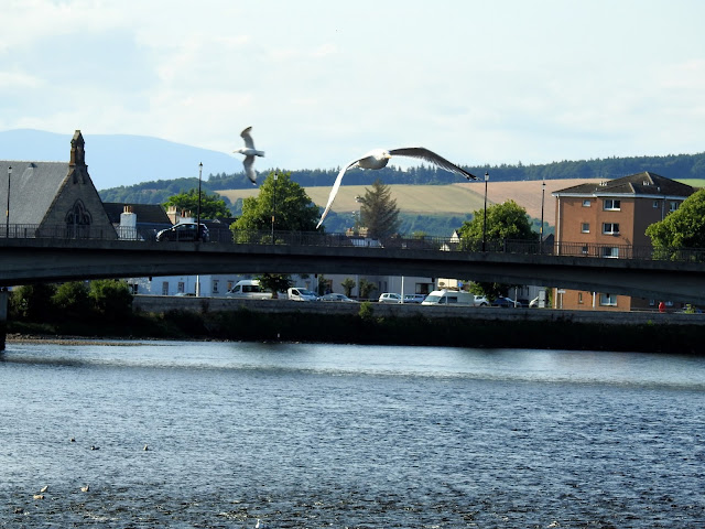 Greig St Bridge