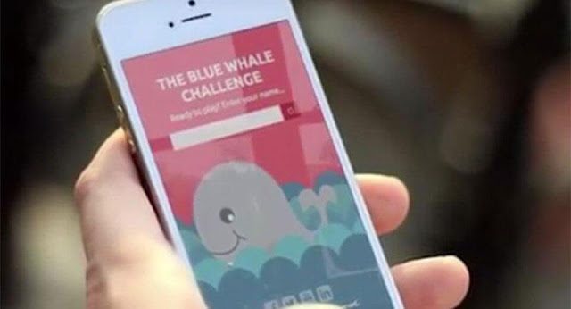 Learn about the Blue Whale game