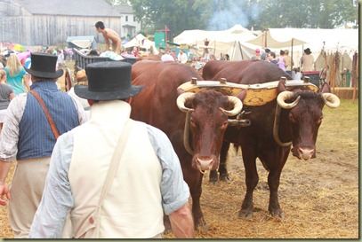 Fair at New Boston 439