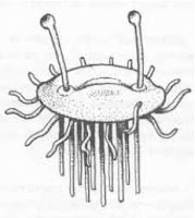 Savage Swords of Athanor: Fiend Folio Friday: the Flumph as the face of good