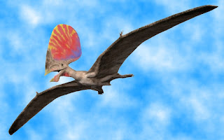 Using weak science to make Darwin smile, researchers and the secular science industry media claimed to have found pterosaur feathers. Not necessarily.