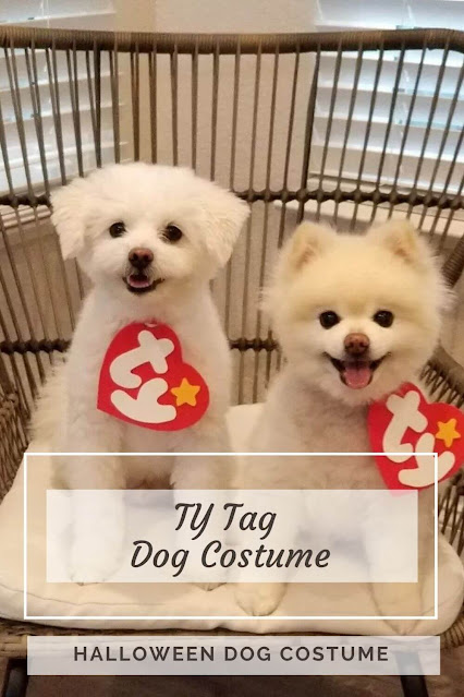 TY Tag Dog Costume