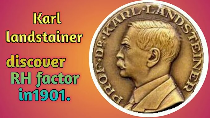 Rh factor in Hindi  | आरएच फैक्टर क्या है?