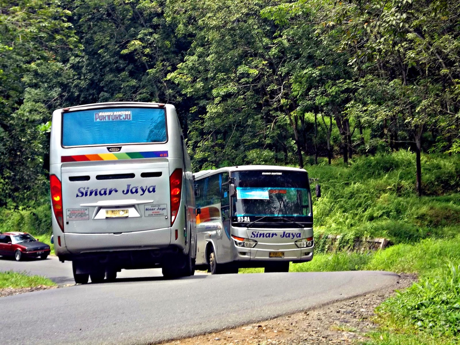 Collection Bus Shoot In The Road  PLAT_R