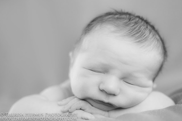 milwaukee newborn photographer, milwaukee baby photographer, milwaukee family photographer