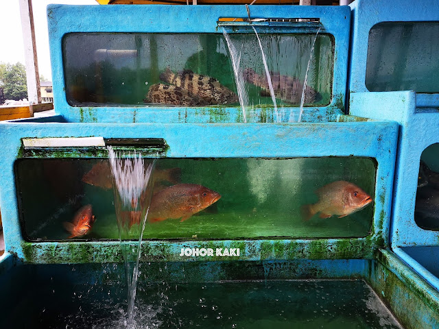 Orang Asli Seafood Mutiara Biru near Taman Perling Johor Bahru 阿士里海鲜村