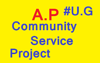 Community Service Project Models, Report Writing