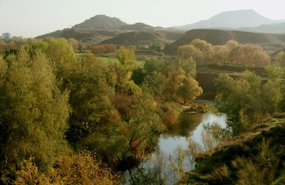 Meandro del río Henares