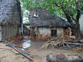 thatched hut in India with goat