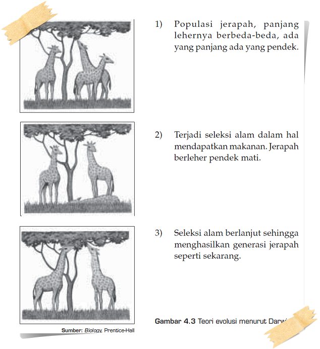 Gambar Teori Evolusi Lamarck Documents Gambar Jerapah 