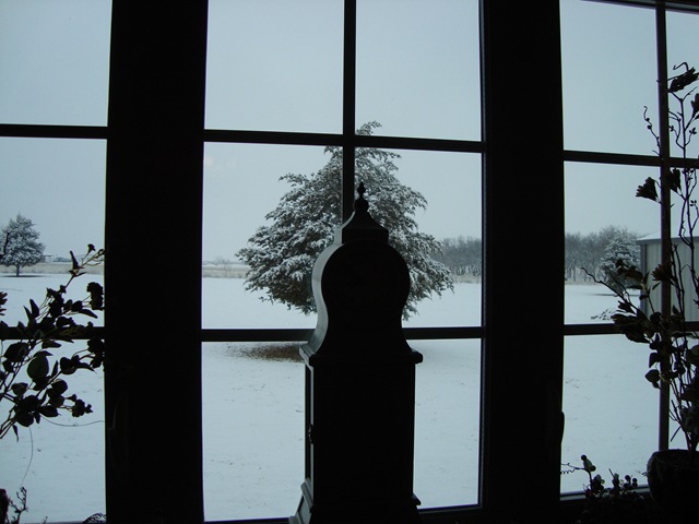 DSC01953