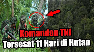 Kisah Misterius Komandan TNI Tersesat 11 Hari di Hutan Papua Buru Pemberontak