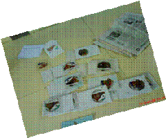 clip_image002[14]