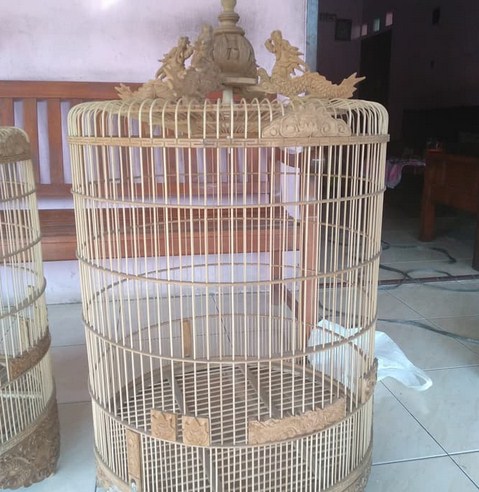  Sangkar  Burung  Kacer