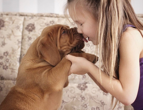 Besos de perrito: ¿Besar o no besar a tu perro?