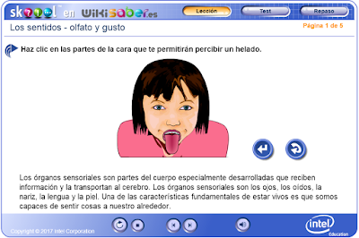 http://ww2.educarchile.cl/UserFiles/P0024/File/skoool/2010/Ciencia/smell_and_taste/