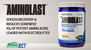 http://www.tigerfitness.com/Gaspari-AminoLast-p/3010366m.htm&Click=61298