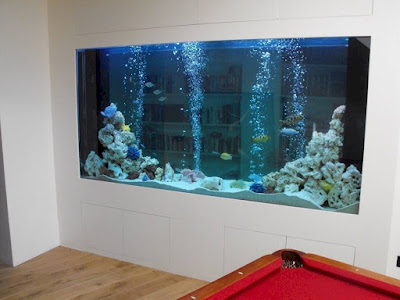 Model aquarium unik