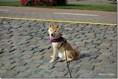 29-DSC05896