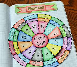 Plant Cell Foldable