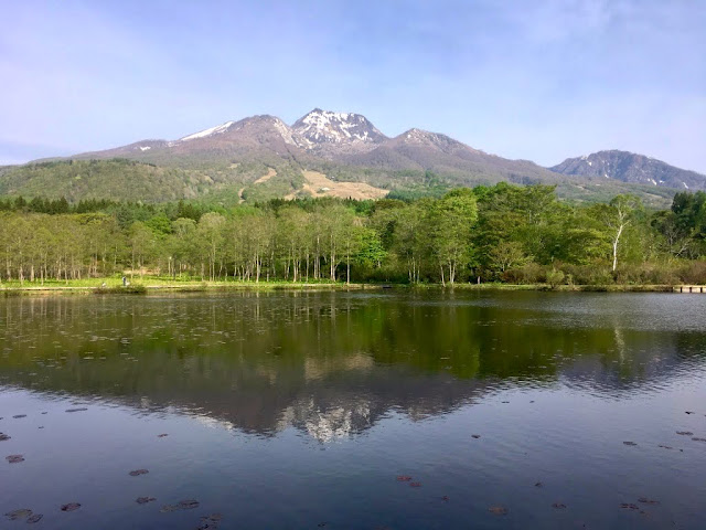 春の妙高山の写真