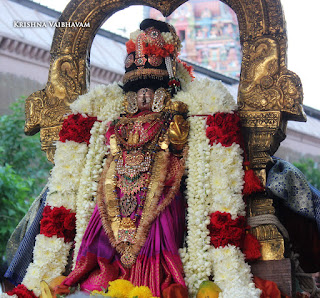 Sri Aandal,Aadipooram,Purappadu,Video, Divya Prabhandam,Sri Parthasarathy Perumal, Triplicane,Thiruvallikeni,Utsavam,