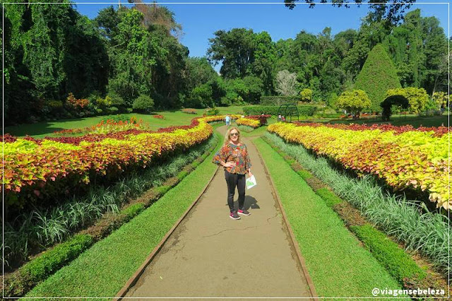 jardim botânico real em Kandy no sri lanka