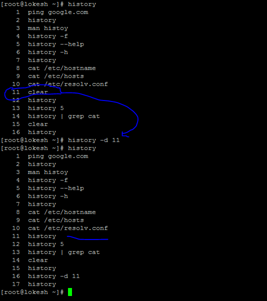 delete any command from shell history
