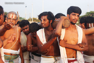 Thiruvallikeni,Triplicane,  Marina Beach, Sri Parthasarathy Perumal, Venkata Krishna , 2017, Video, Divya Prabhandam,Utsavam,