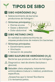 SIBO ,salud digestiva ,inflamacion intestinal ,disbiosis