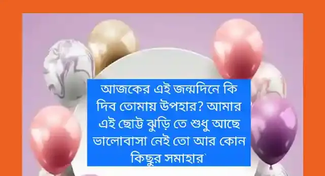 বন্ধু জন্মদিনের শুভেচ্ছা স্ট্যাটাস ফানি | Happy Birthday Sms Bangla