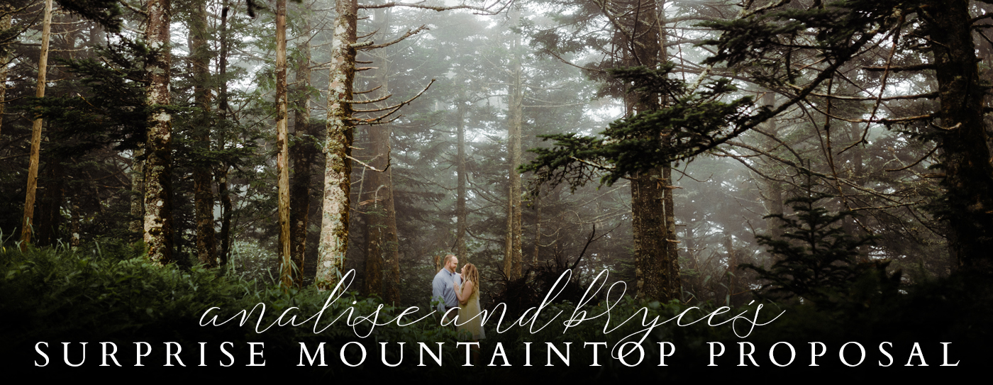 http://blog.magruderphotoanddesign.com/2015/09/bryce-analise-surprise-mountaintop.html